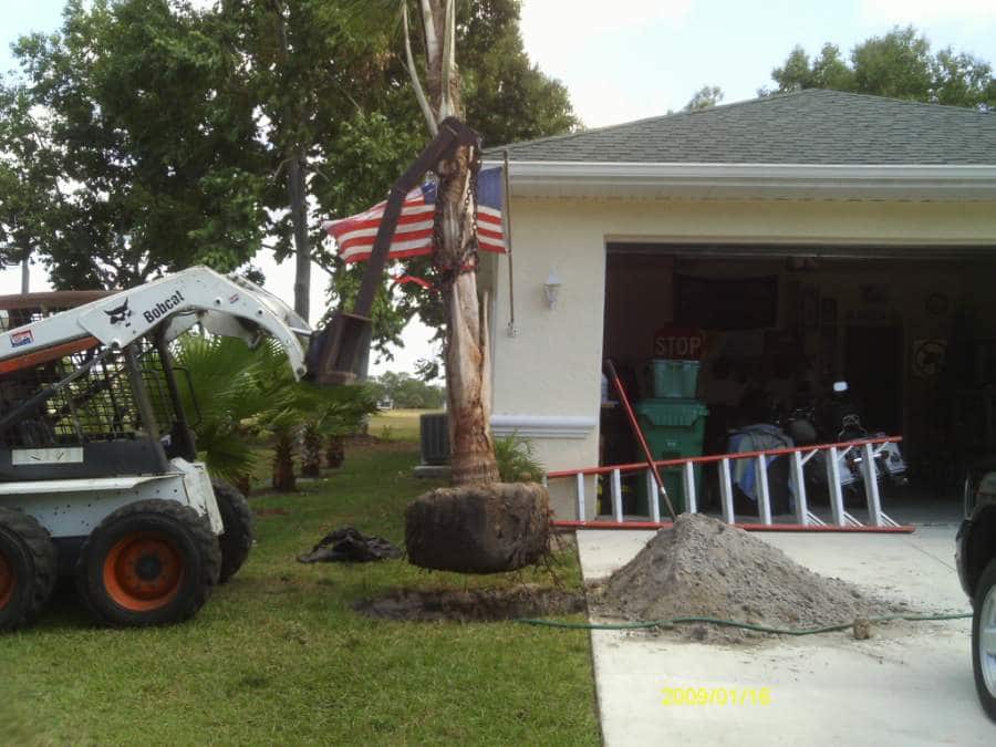 Tree Removal Landscaping Tips and Tricks