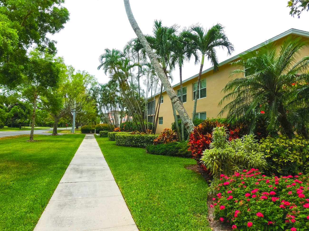 Florida Friendly Landscaping South Florida Gardening