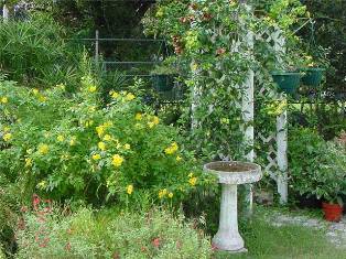 florida-friendly-landscaping florida-friendly-landscaping