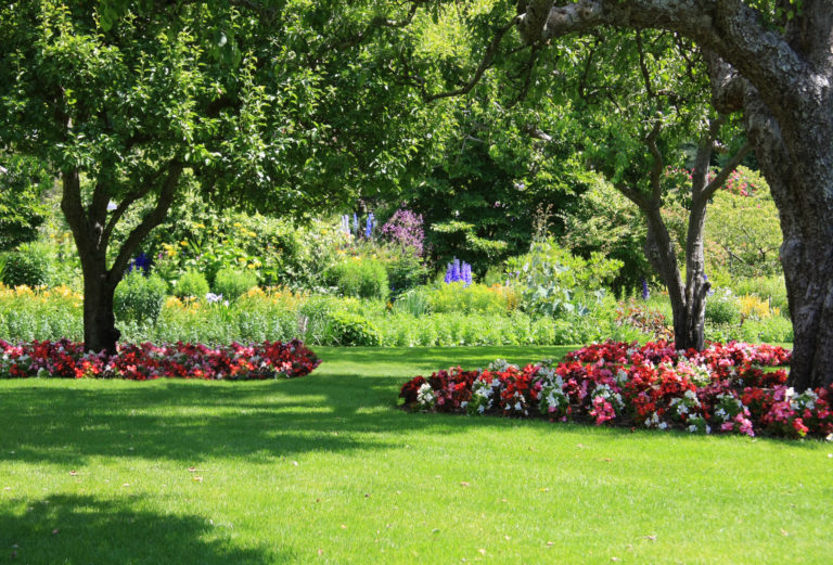 Beautiful Garden lawn care services near me