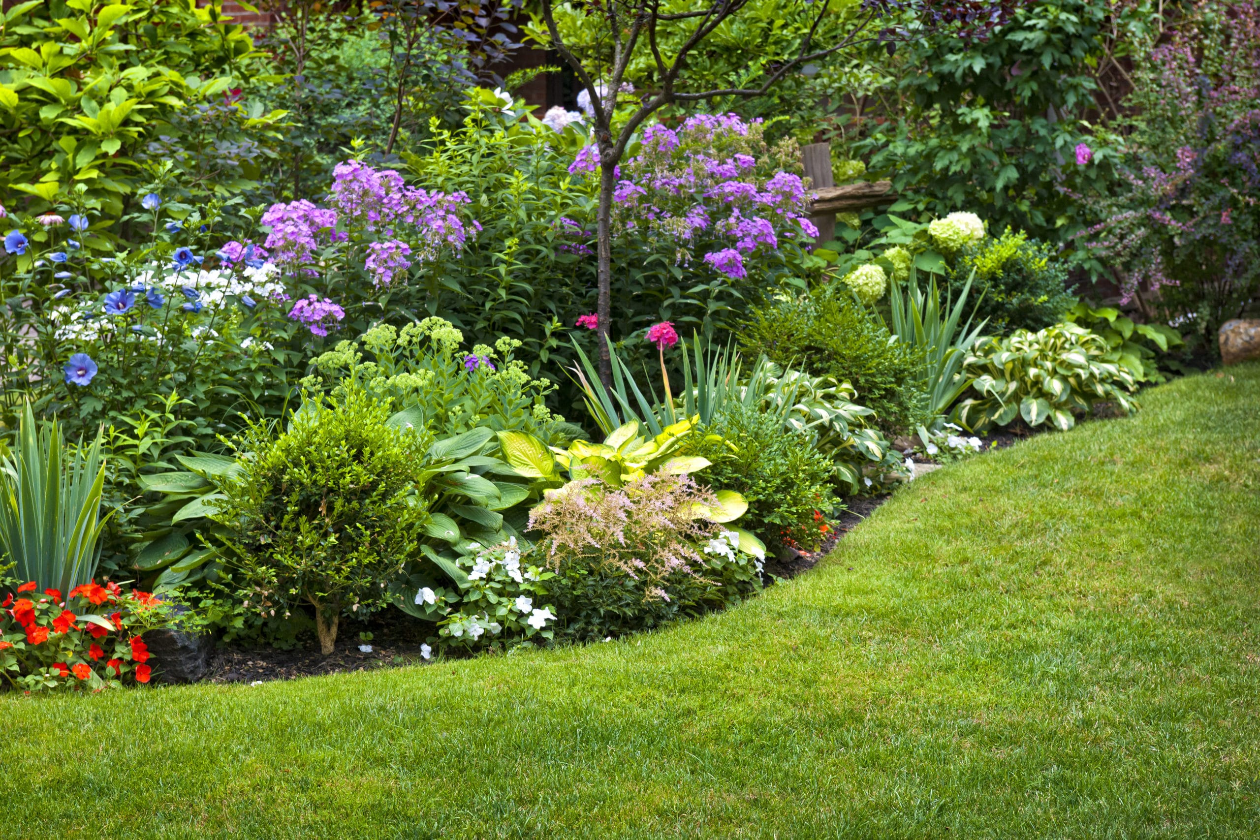 Garden low plants maintenance rock