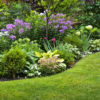 Tips for a Beautiful Garden