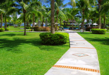 tree trimming punta gorda fl