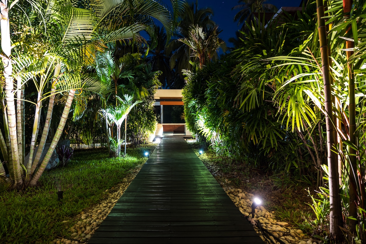 landscape lighting punta gorda walkway with landscape lighting