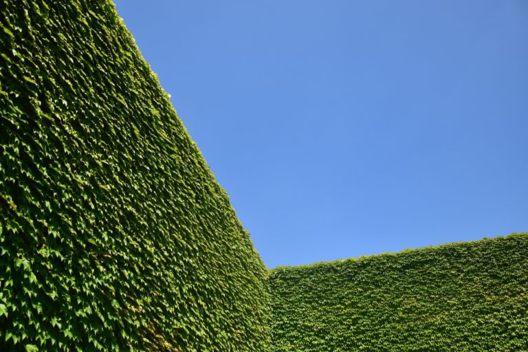 Florida Privacy Hedges Florida Privacy Hedges