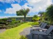 lawn care tips