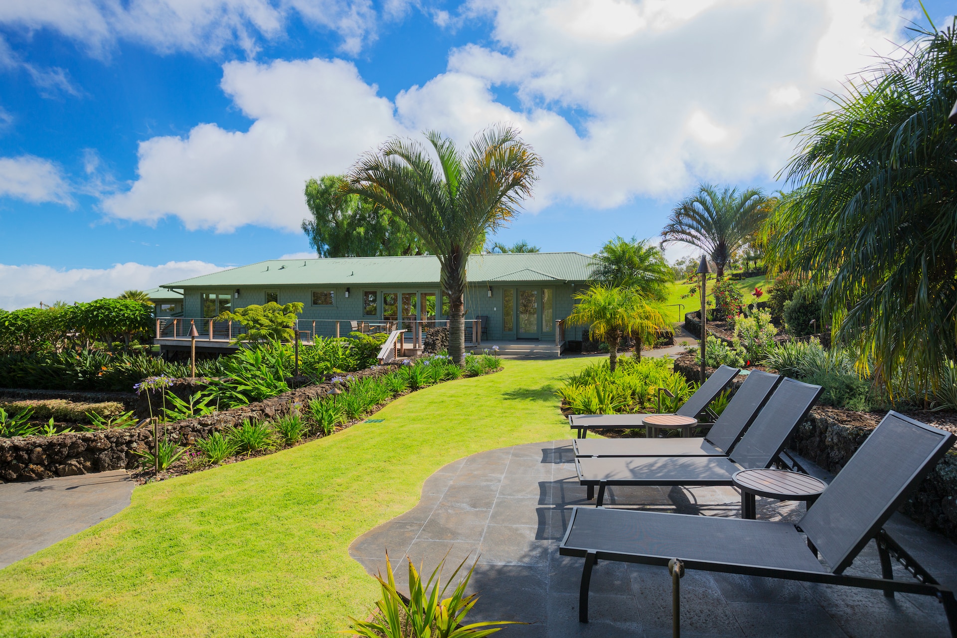 lawn care tips lawn care tips