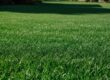 Punta Gorda landscaping secrets