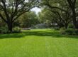 Port Charlotte landscaping trends